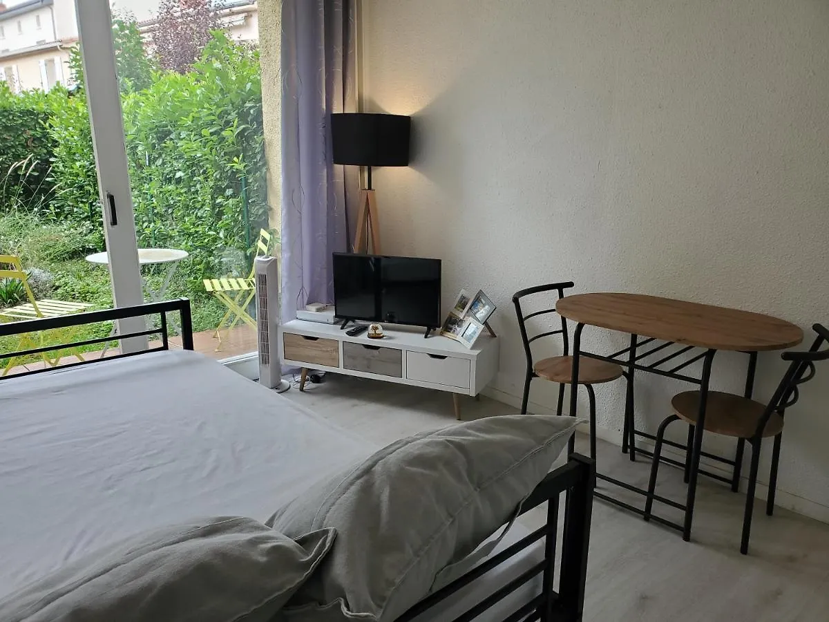 Appartement Avec Jardin Privatif Albi Apartment