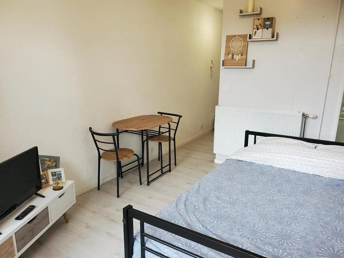 Apartment Appartement Avec Jardin Privatif Albi