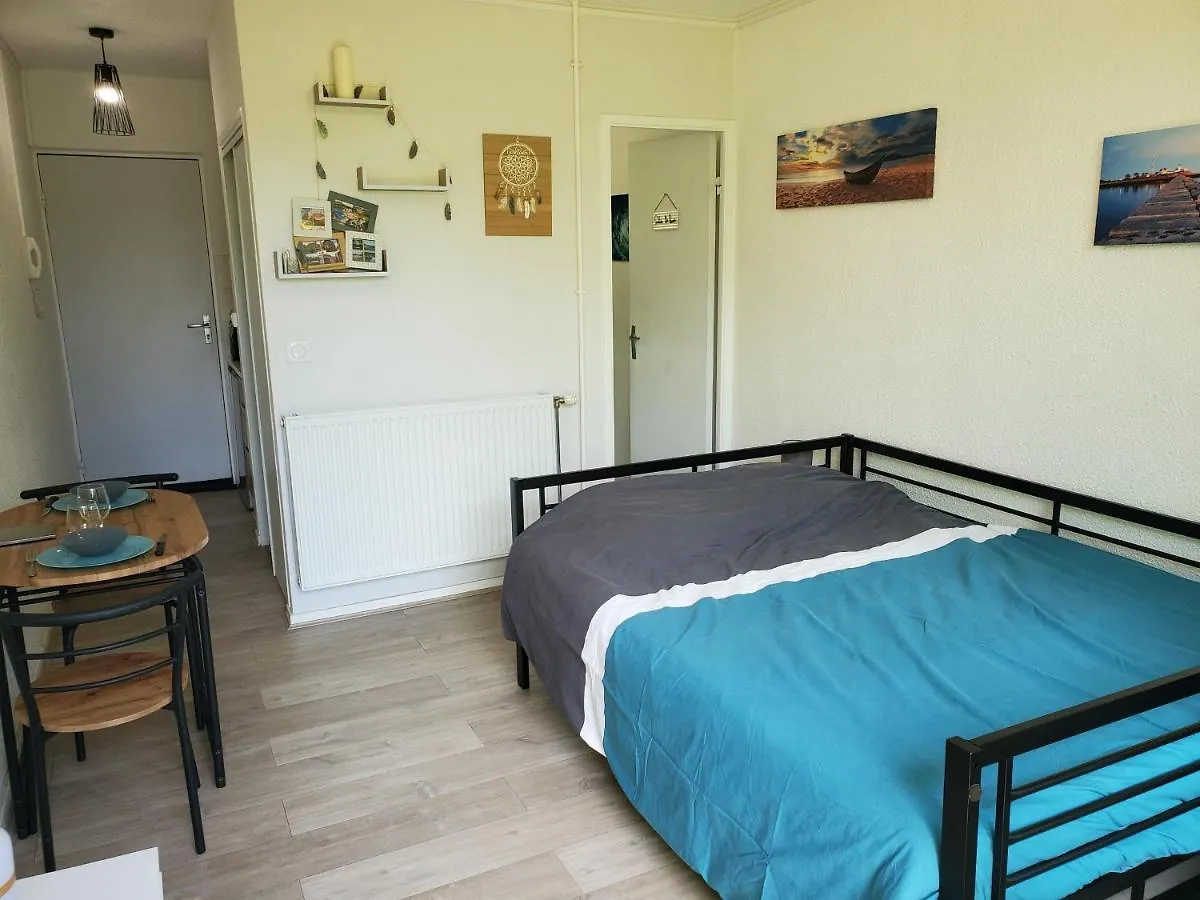 Appartement Avec Jardin Privatif Albi France